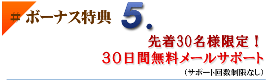 ボーナス特典5期間限定30日間無料メール相談